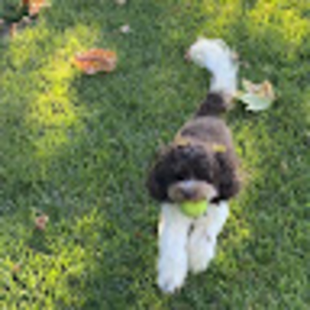 Meet your Posher, Aria